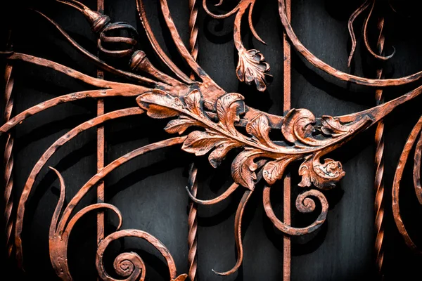 Detalles, estructura y ornamentos de puerta de hierro forjado. Disco floral —  Fotos de Stock