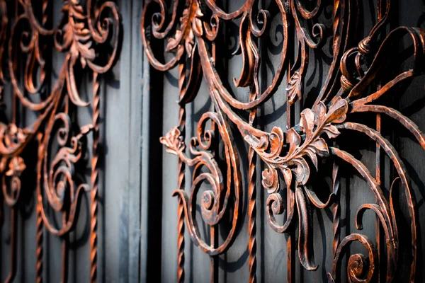 Detalles, estructura y ornamentos de puerta de hierro forjado. Disco floral —  Fotos de Stock