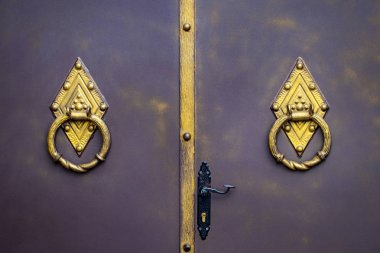 süslü Ferforje metal geçit dekorasyon unsurları