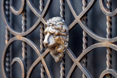 Dekoratif metal kapılar, el dövme unsurları parçaları