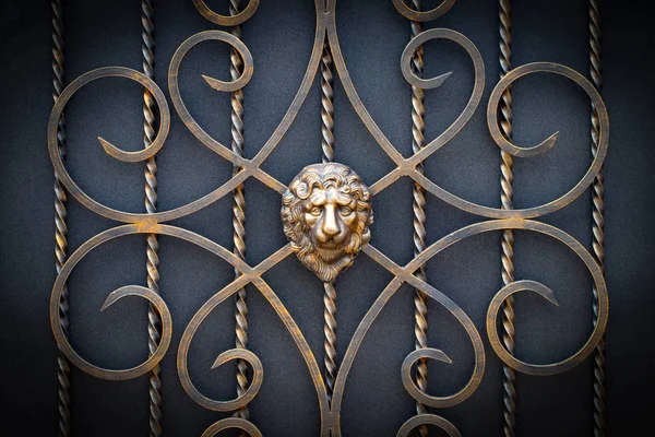 Partes decorativas de puertas de metal, elementos de forja a mano — Foto de Stock