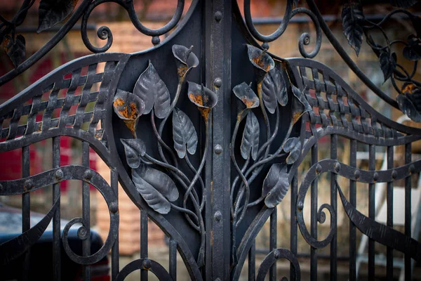 Partes decorativas de puertas de metal, elementos de forja a mano —  Fotos de Stock