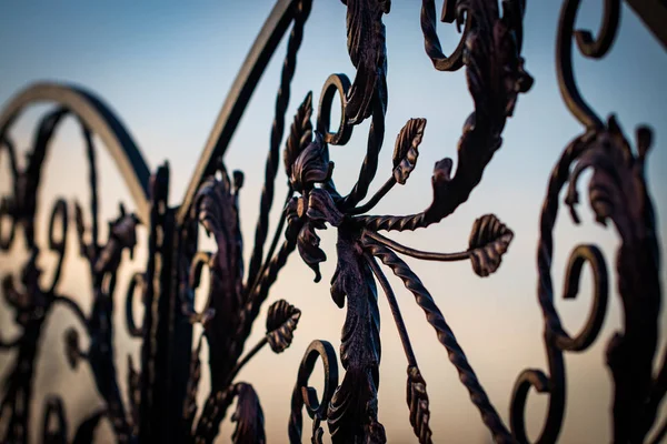 Magnificent wrought-iron gates, ornamental forging, forged eleme — Stock Photo, Image