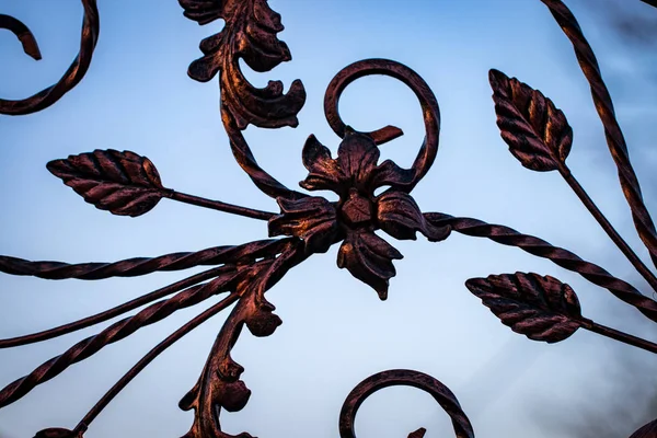 Ξύλινη πύλη με όμορφη σφυρήλατο σίδηρο στοιχεία λουλούδια — Φωτογραφία Αρχείου