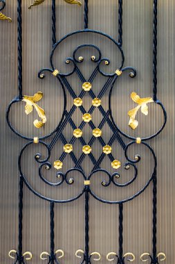 Bilgi, yapısı ve süs Dövme demir kapısı. Çiçek Aralık