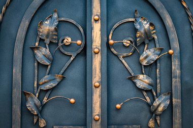 Bilgi, yapısı ve süs Dövme demir kapısı. Çiçek Aralık