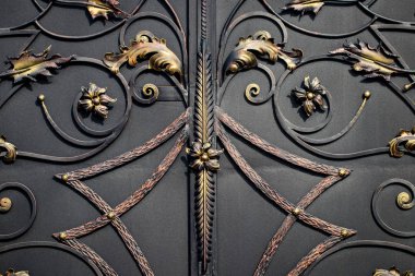 Bilgi, yapısı ve süs Dövme demir kapısı. Çiçek Aralık