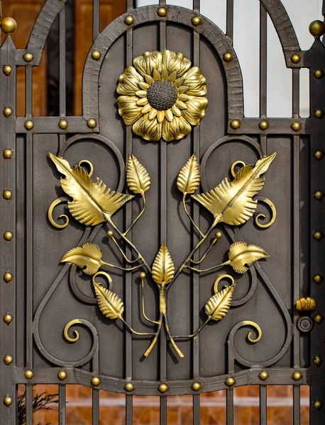 Details, structure and ornaments of forged iron gate. Floral dec — Stock Photo, Image