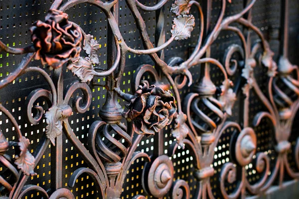 Details, structuur en ornamenten van forged iron gate. Floral dec — Stockfoto