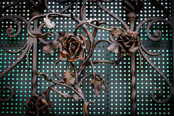 세부 사항, 구조 및 위조 된 철 게이트의 장신구. 꽃 12 월 — 스톡 사진