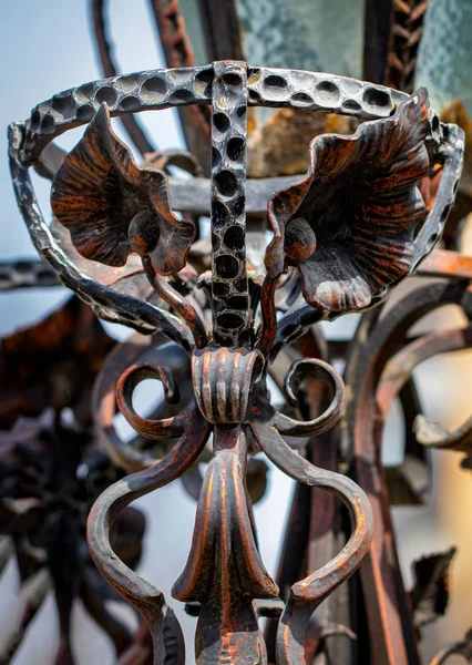 Details, structuur en ornamenten van forged iron gate. Floral dec — Stockfoto