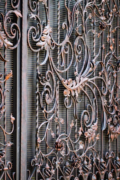 Детали, структура и украшения кованых железных ворот. Цветочная дека — стоковое фото