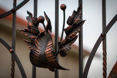 Dekoratif metal kapılar, el dövme unsurları parçaları