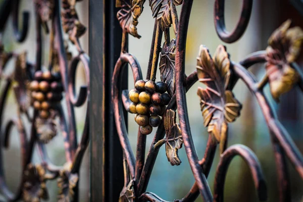 Forged bunch of grapes. ornate wrought-iron elements of metal ga — Stock Photo, Image