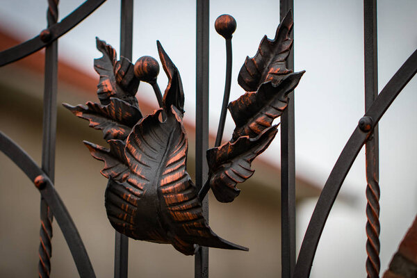 decorative parts of metal gates, elements of hand forging