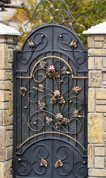 Decoración de la puerta con elementos de hierro forjado ornamentados, de cerca — Foto de Stock