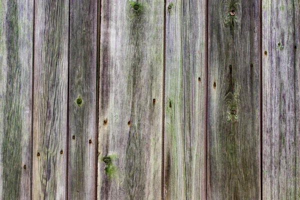 Wood background texture/old wooden planks. With copy space — Stock Photo, Image