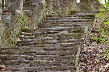 Eski taş merdiven parkta yakın çekim