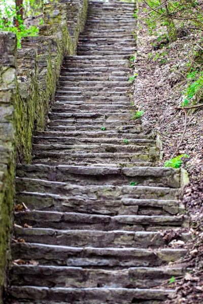 Old stone staircase in the Park close up — Stock Photo, Image