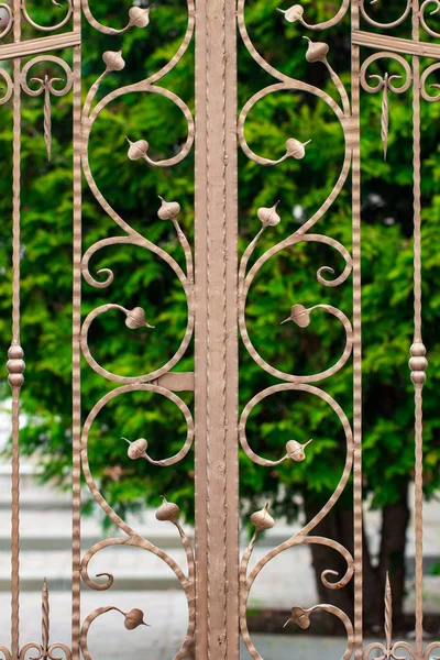 Elementos de ferro forjado ornamentado de decoração portão de metal — Fotografia de Stock