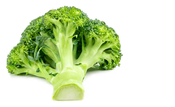 Brokoli segar diisolasi dengan latar belakang putih. Dengan tapak kliping . — Stok Foto