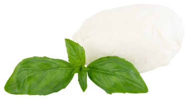 Fesleğen yaprakları kırpma yolu ile beyaz arkaplanda izole