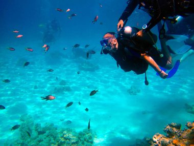 İnsan dalgıcı ve güzel renkli mercan resifi suyun altında.