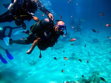 İnsan dalgıcı ve güzel renkli mercan resifi suyun altında.