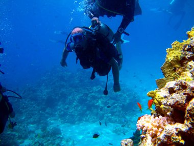 İnsan dalgıcı ve güzel renkli mercan resifi suyun altında.