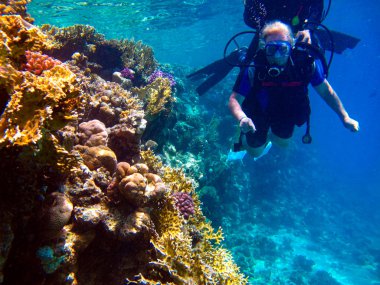 Kadın dalgıç ve güzel renkli mercan resifi suyun altında.