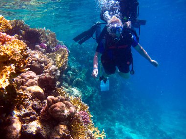 Kadın dalgıç ve güzel renkli mercan resifi suyun altında.