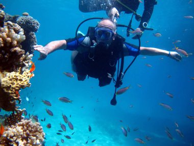 İnsan dalgıcı ve güzel renkli mercan resifi suyun altında.