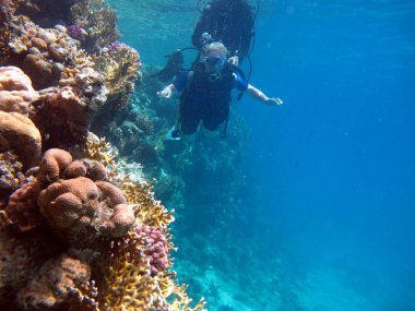 Kadın dalgıç ve güzel renkli mercan resifi suyun altında.