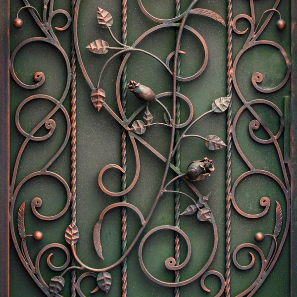 Güzel Dekoratif Metal Elementler Dövülmüş Demir Kapılar — Stok fotoğraf
