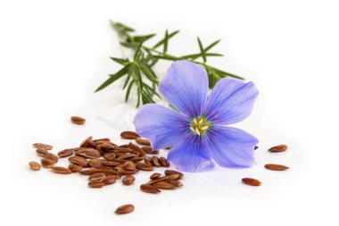  Beyaz arkaplandaki çiçekli keten tohumları.