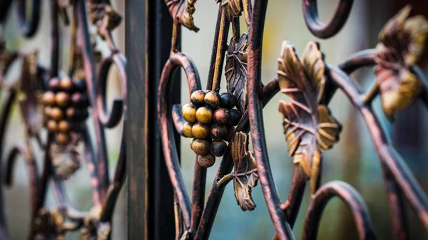 Monte Uvas Forjadas Elementos Ferro Forjado Ornamentado Decoração Portão Metal — Fotografia de Stock