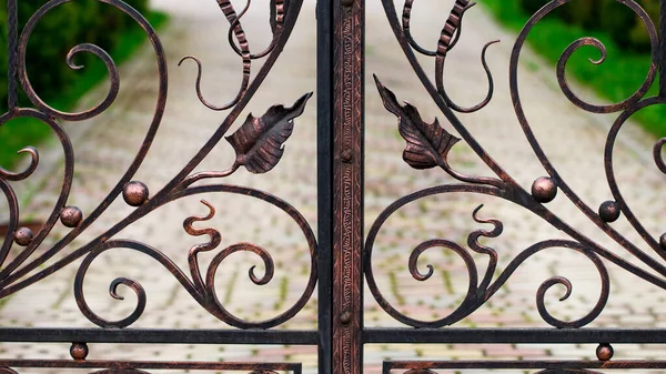 庭の道を見る閉じた鍛造金属製の門 — ストック写真