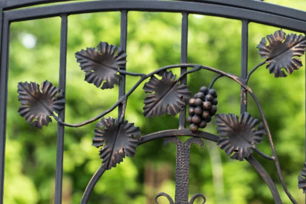 ブドウの束を鍛造 金属製の門の装飾品の装飾品 — ストック写真