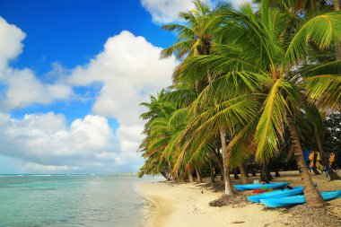 Guadeloupe, Karayip Adaları güzel beach