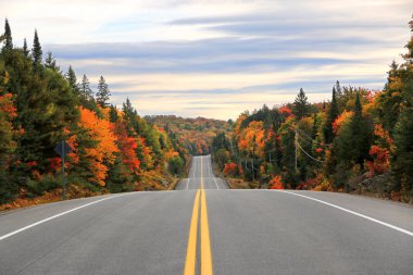 Sonbaharda Algonquin İl Parkı 'ndan geçen yol, Ontario, Kanada