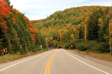 Sonbaharda Algonquin İl Parkı 'ndan geçen yol, Ontario, Kanada