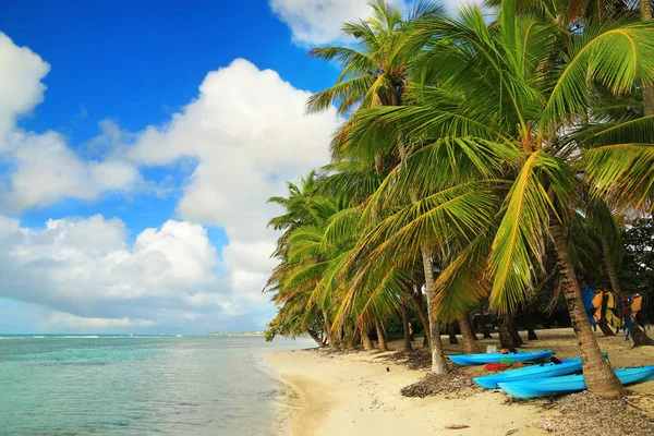 Guadeloupe, Karayip Adaları güzel beach
