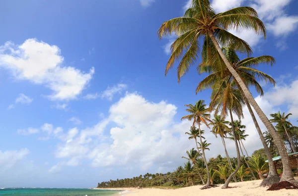 Marie-Galante, Guadeloupe (Fransa), Karayip Adaları güzel plajı — Stok fotoğraf