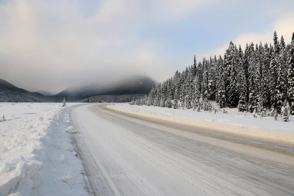 Icefields Parkway kış, Alberta, Kanada
