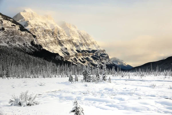Sunrise dağlarda. Kış manzarası, Rocky Dağları, Alberta, Kanada