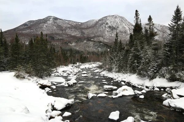 Gaspesie Milli Parkı (Parc national de la Gaspesie), Quebec, Kanada kış manzarası