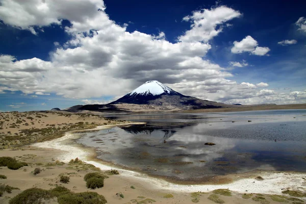 Lauca Millî Parkı, Şili, Güney Amerika. Volkan Parinacota ve göl Chungara — Stok fotoğraf