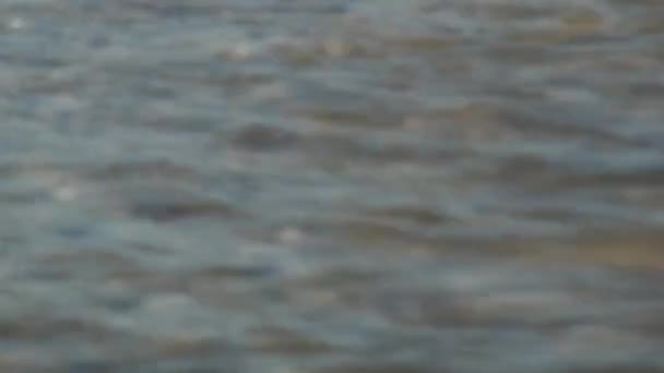 Ρηχά κύματα στην Νάπολη της Φλόριντα — Αρχείο Βίντεο