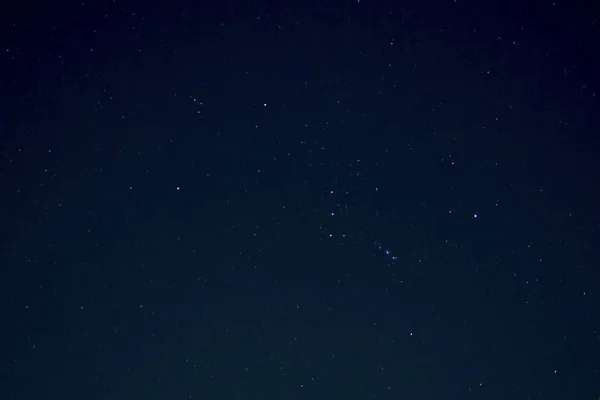 Orion constellation in southeast US sky Stock Image