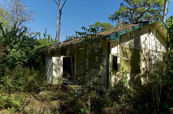 Boarded up abandoned house overgrown in florida 로열티 프리 스톡 이미지